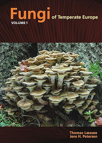 Download Fungi of Temperate Europe PDF
