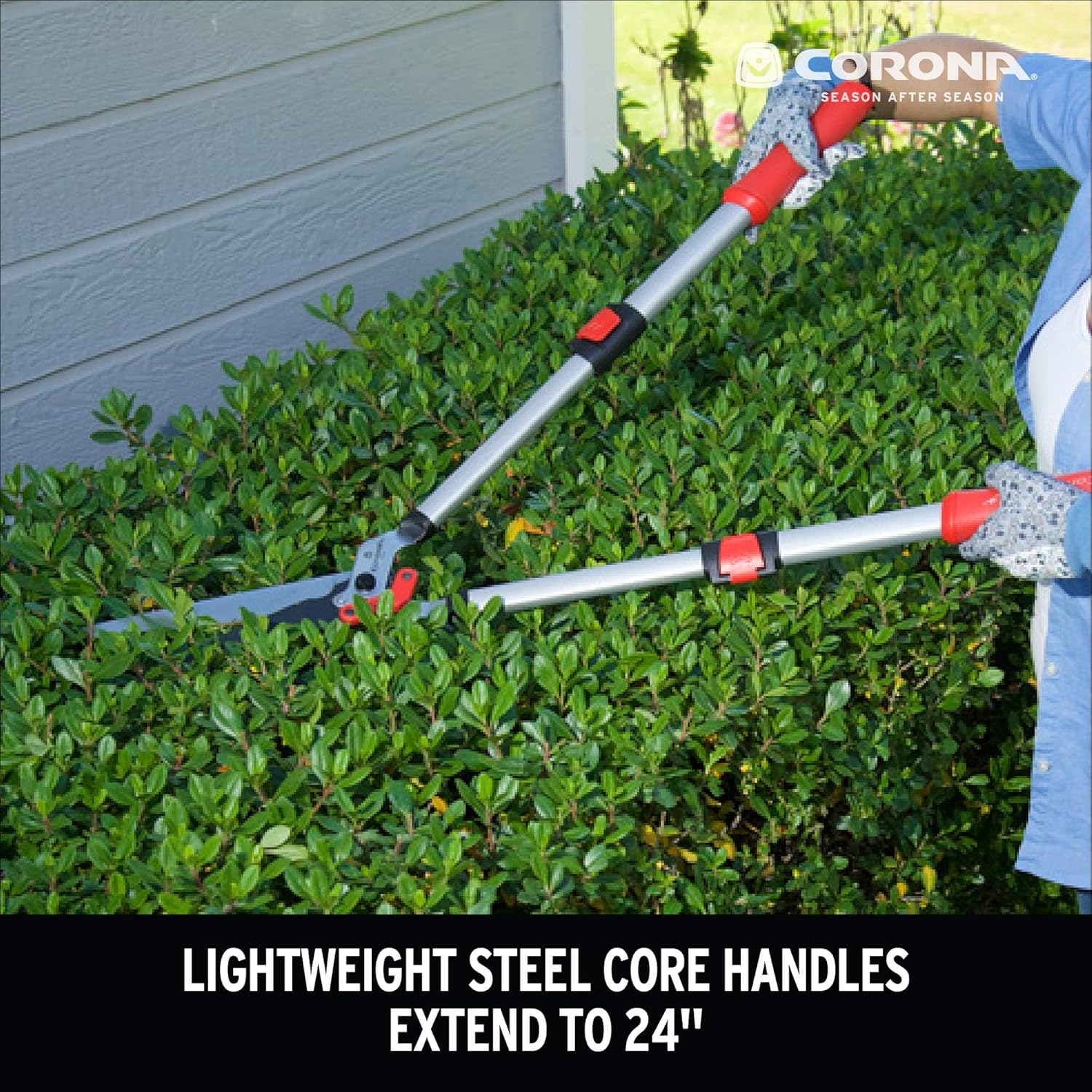 Corona HS 4344 DualLINK Extendable Hedge Shear : Garden & Outdoor
