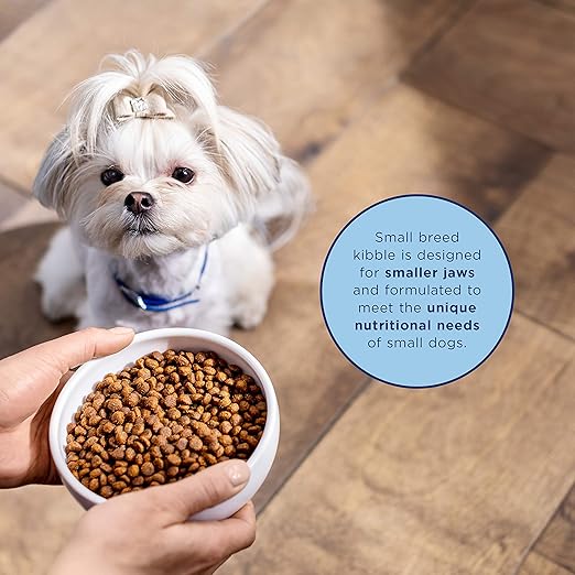 natural balance small dog food