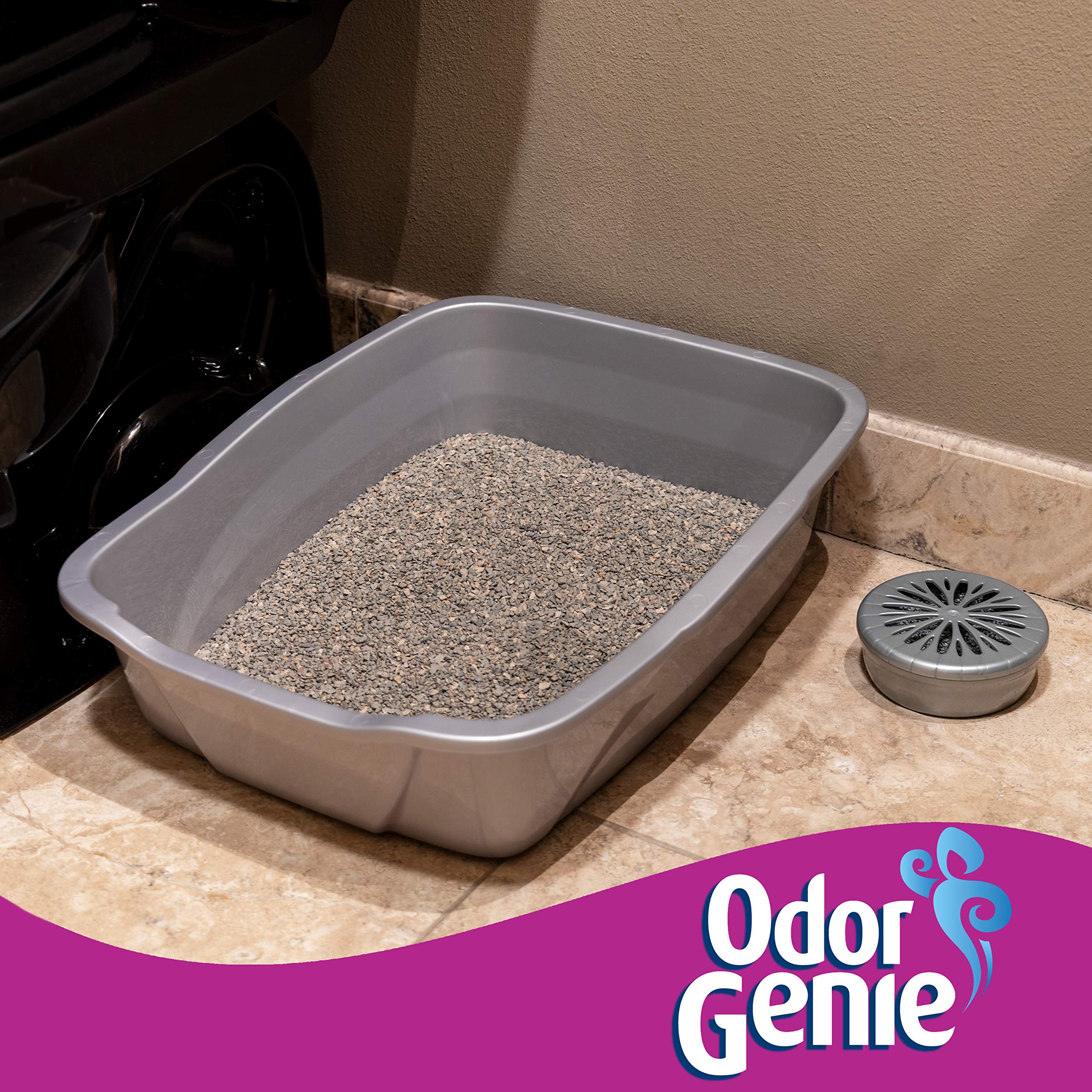 Odor Genie - Odor Eliminator with Wild Berry Fragrance - 8 oz, (FG69H)