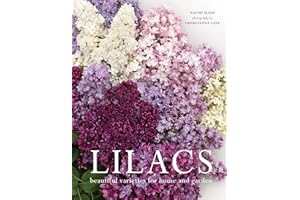 Lilacs: Beautiful Varieties for Home and Garden
