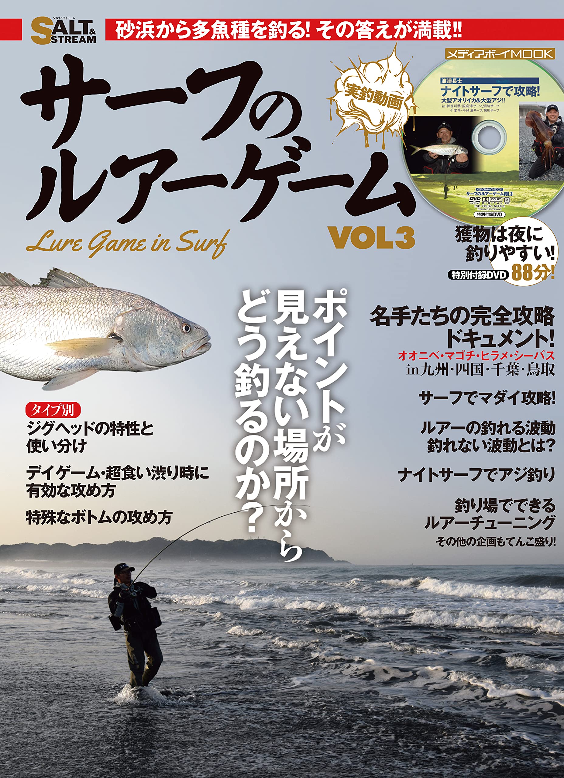 サーフのルアーゲーム Vol 3 メディアボーイmook Salt Stream 本 通販 Amazon