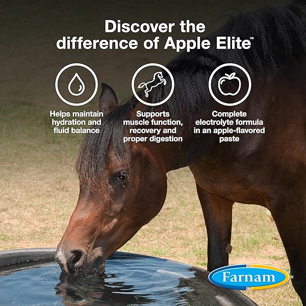 FARNAM APPLE ELITE ELECTROLYTE PASTE SUPPLEMENT FOR HORSES, REPLACES VITAL MINERALS, ENCOURAGES HYDRATION, NO ADDED SUGAR, 60 CC SYRINGE