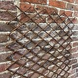 Selections Expanding Willow Trellis 60cm Wide Pack of 2 180cm High view 5