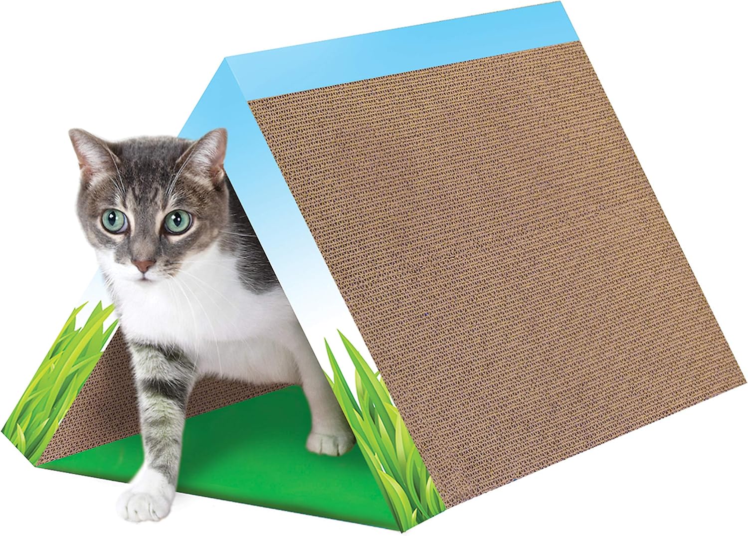 cat tunnel scratcher