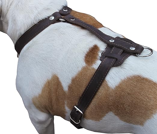 leather pet harnesses