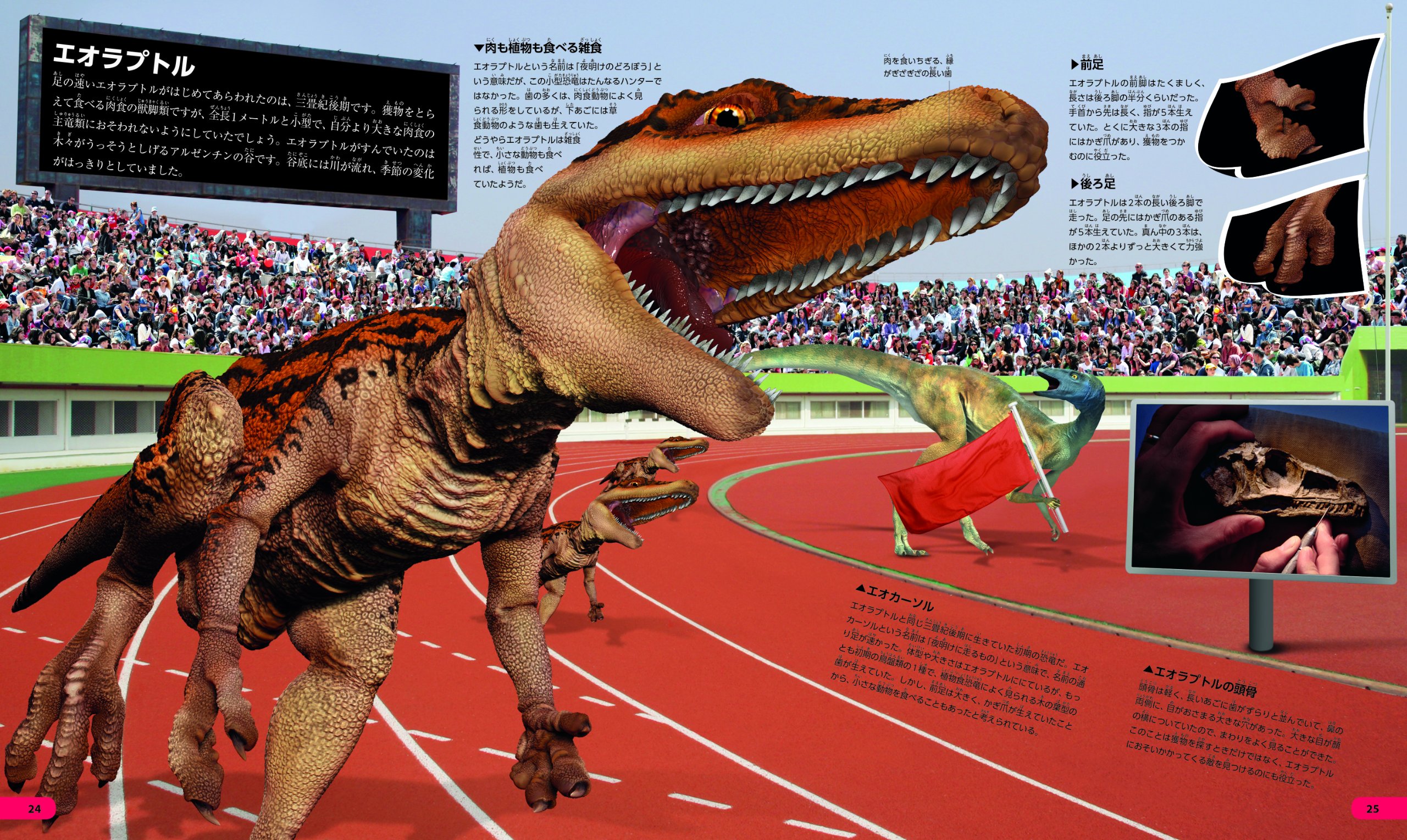 こども大図鑑 恐竜 Douglas Palmer Ikuo Obata Hisako Ikeda Amazon Com Books