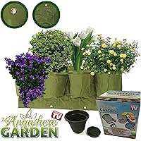 Amazon.es Los más regalados: Los artículos más regalados en ...