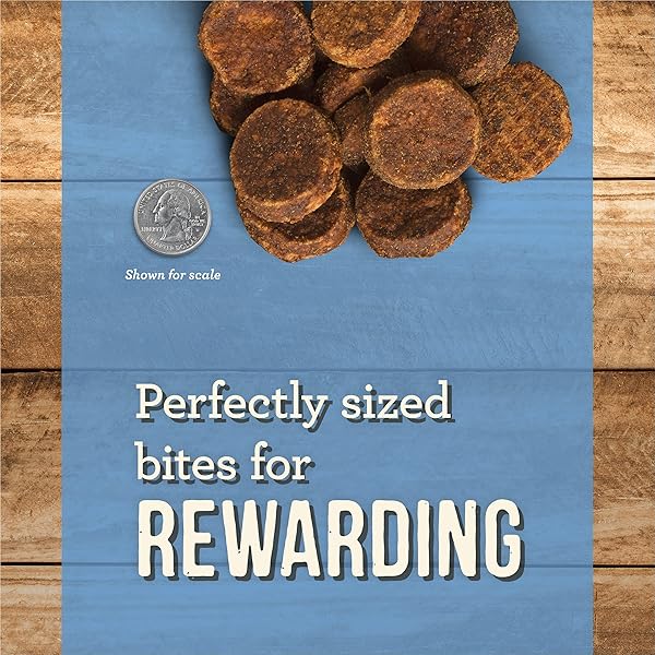 MERRICK CHEWY DOG TREATS, SLOW COOKED BBQ BEEF DOG TREAT CHEWS, CAROLINA STYLE GLAZED SAUSAGE BITES – 10 OZ. POUCH