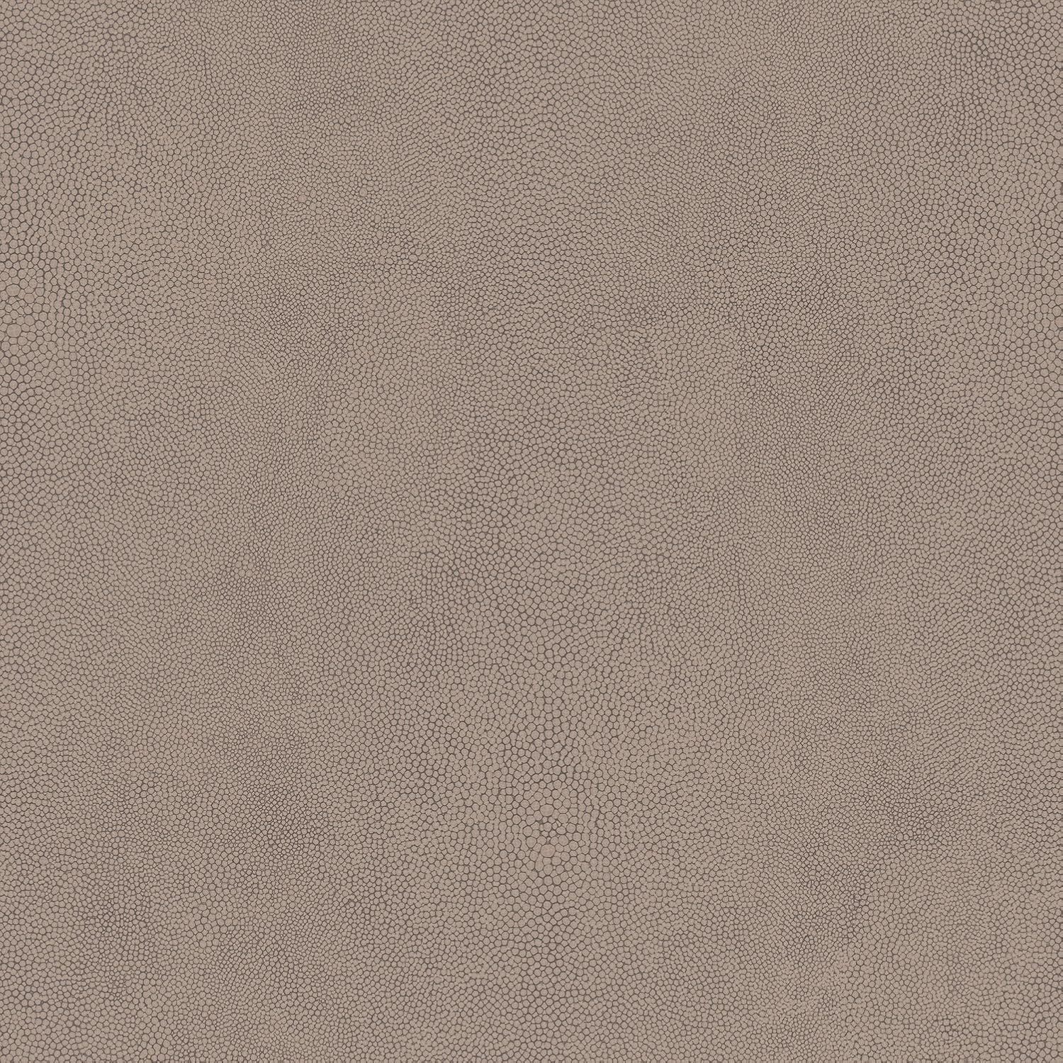 Galerie G67467 Natural FX Wallpaper Roll, Brown
