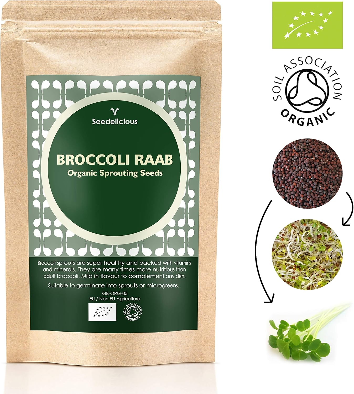 Verdant Republic Organic Broccoli RAAB Sprouting Microgreen Seeds 1kg, Brown