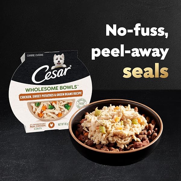 CESAR WHOLESOME BOWLS ADULT WET DOG FOOD, CHICKEN RECIPE AND CHICKEN, SWEET POTATOES & GREEN BEANS RECIPE VARIETY PACK, WET FOOD FOR DOGS, 3 OZ. BOWLS, 6 COUNT