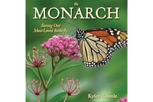 The Monarch: Saving Our Most-Loved Butterfly