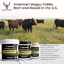 Wagyu Republic Beef Tallow ⎸ Grass Fed Wagyu Beef
