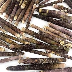 Heyiwell 6OZ(40+PC) Sea Urchin Spines for DIY Craft