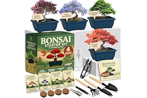 HOME GROWN Bonsai Tree Starter Kit for Beginners – Unique Christmas Gift for Adults, Men & Women - Grow 4 Indoor Bonsai from Seeds – DIY Crafts & Hobby Kit Gardening Gift for Plant Lovers, Mom & Dad