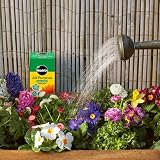 Miracle-Gro All Purpose Water Soluble Plant Food 1 kg view 5
