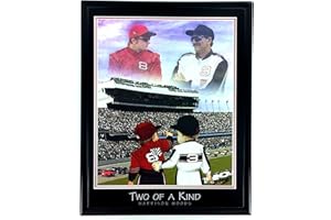 Nascar Dale Earnhardt Jr. and Sr. Framed Lithograph with Glass F6625A