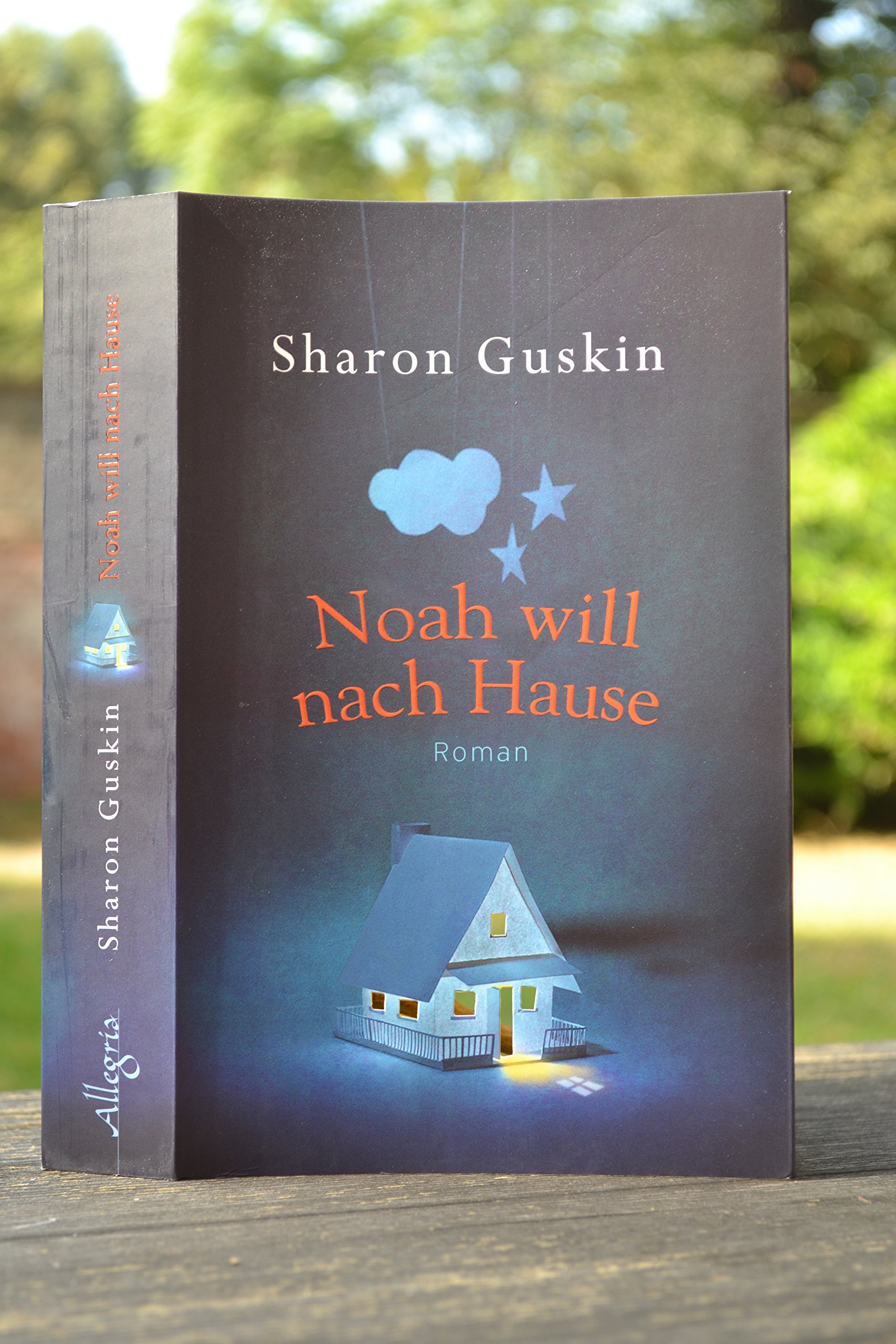 Noah Will Nach Hause Sharon Guskin 9783793423065 Amazon Com Books
