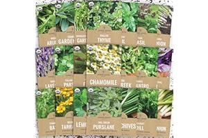 SWEET YARDS Organic Herb Garden Seeds Variety Pack - Non-GMO USDA Certified Organic Open Pollinated Heirloom USA Seed Packets