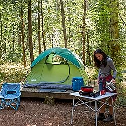 Coleman Sundome Camping Tent with Rainfly, 2/3/4/6
