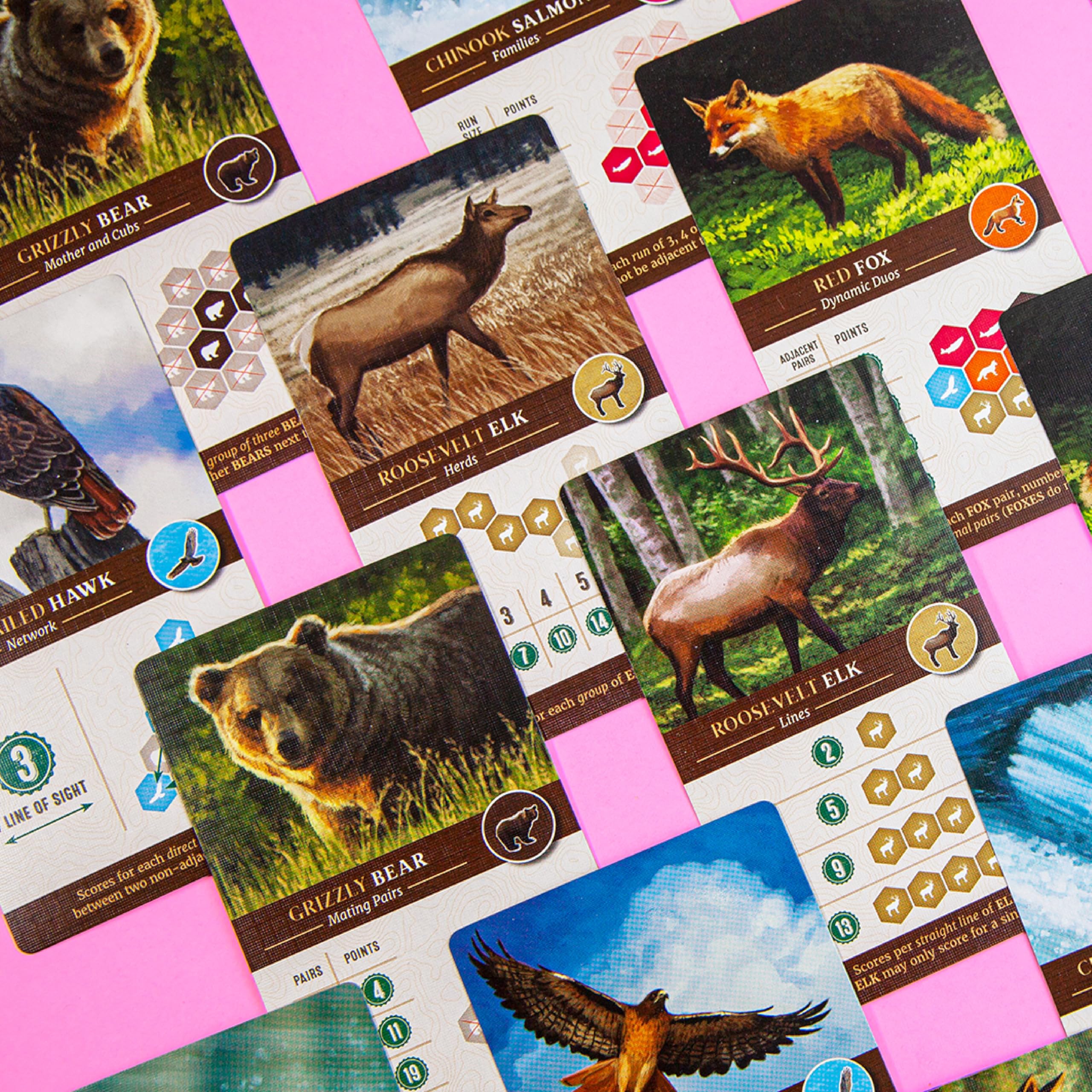 AEG & Flatout Games | Cascadia - Award-Winning Board Game Set in the Pacific Northwest | Easy to Learn | Quick to Play | Ages 10+