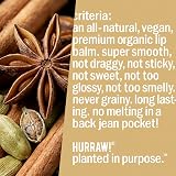 Hurraw! Chai Spice Lip Balm Organic Vegan Cruelty Gluten Free Non GMO 4.8g view 6