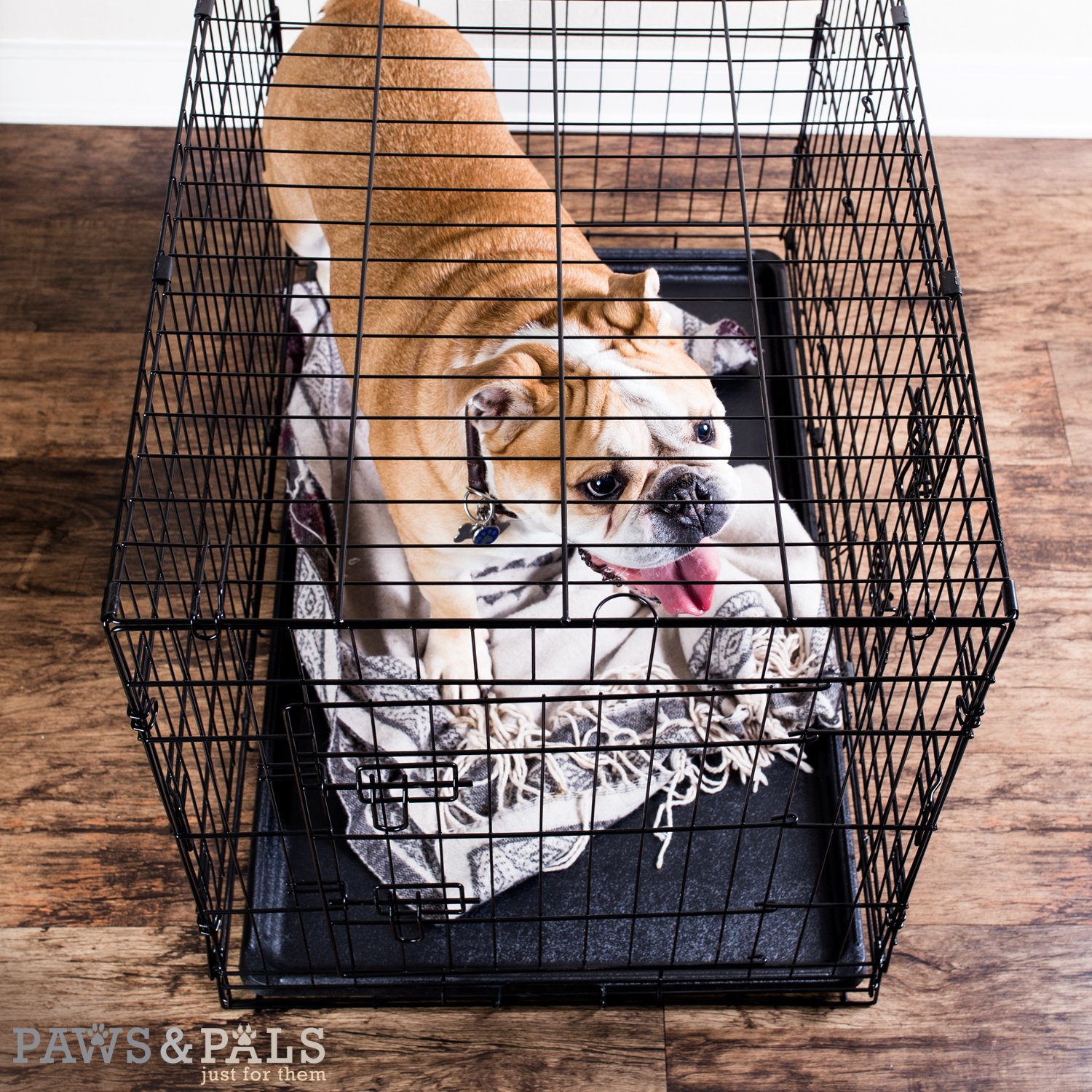 Dog Crate Double-Door Folding Metal - Wire Cage w/Divider & Tray for Training Pets - 2019 Newly Designed Model
