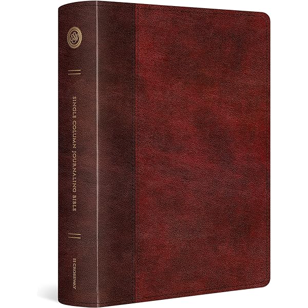 Red Letter Journaling Bible Esv