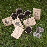 Healthy Family Kids Gardening Set Grow Your Own Deluxe Seed Kit view 7