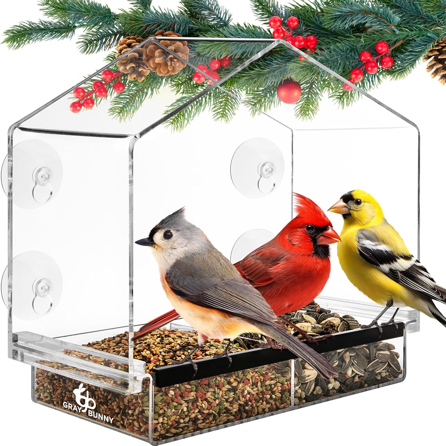 Backyard Birding & Wildlife - Window Bird Feeders for Outside - Large Bird House Style Window Bird Feeder - Window Bird Feeders with Strong Suction Cups with Drain Holes, Removable Tray, Large Seed Capacity and Rubber Perch