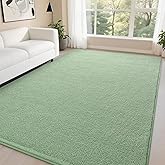 DweIke 5x7 Light Green Area Rugs for Bedroom, Super Soft Living Room Rug, Thickened Memory-Foam Throw Carpet, Non-Slip and Wa