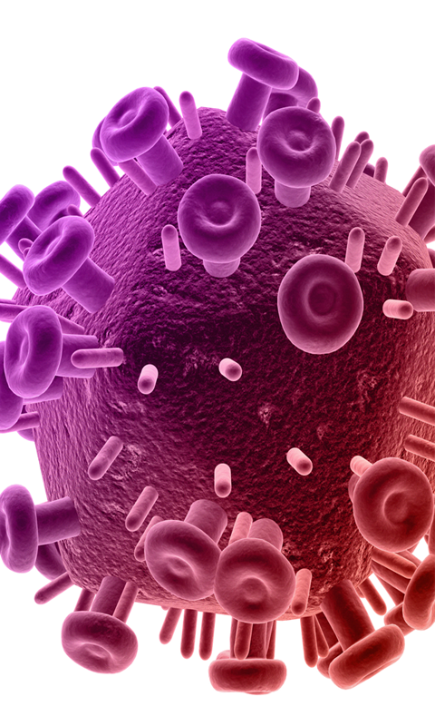 Hiv Symptoms and Facts