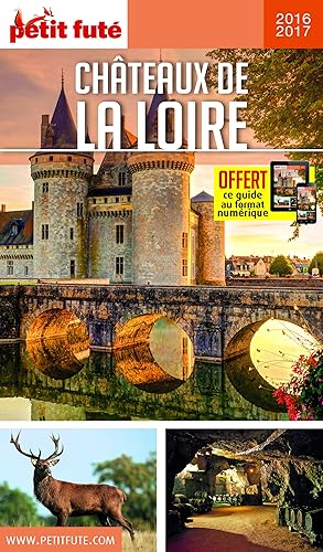 Download Petit Futé Châteaux de la Loire PDF