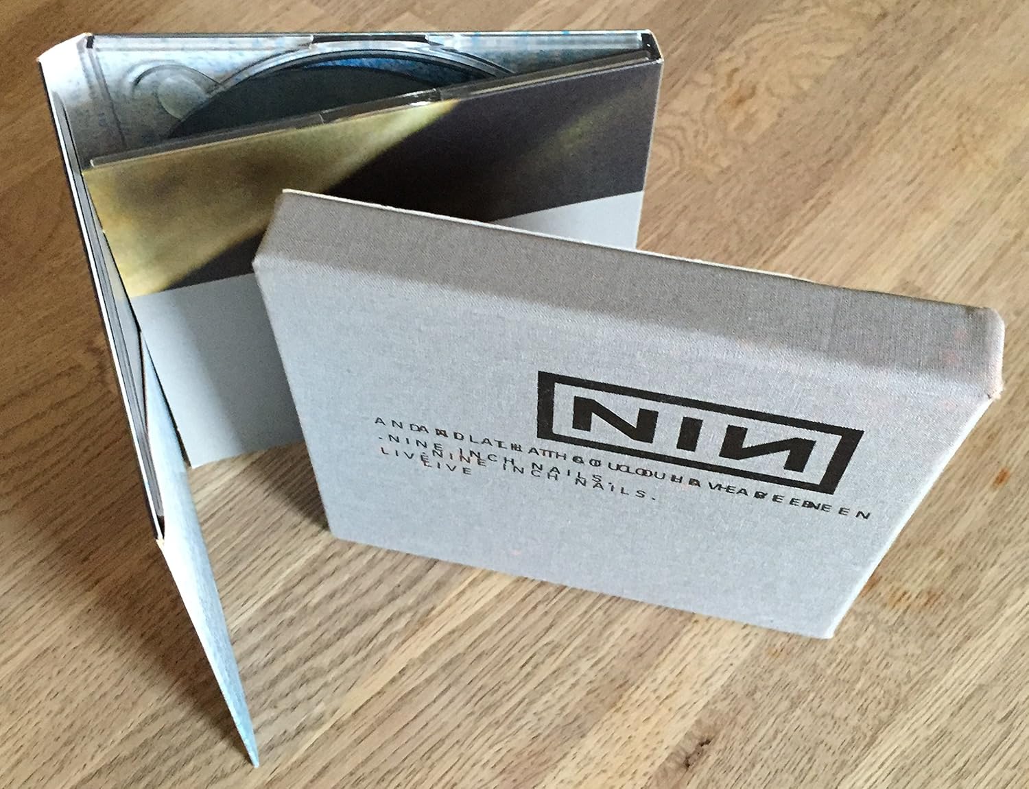 And All That Could Have Been Nine Inch Nails