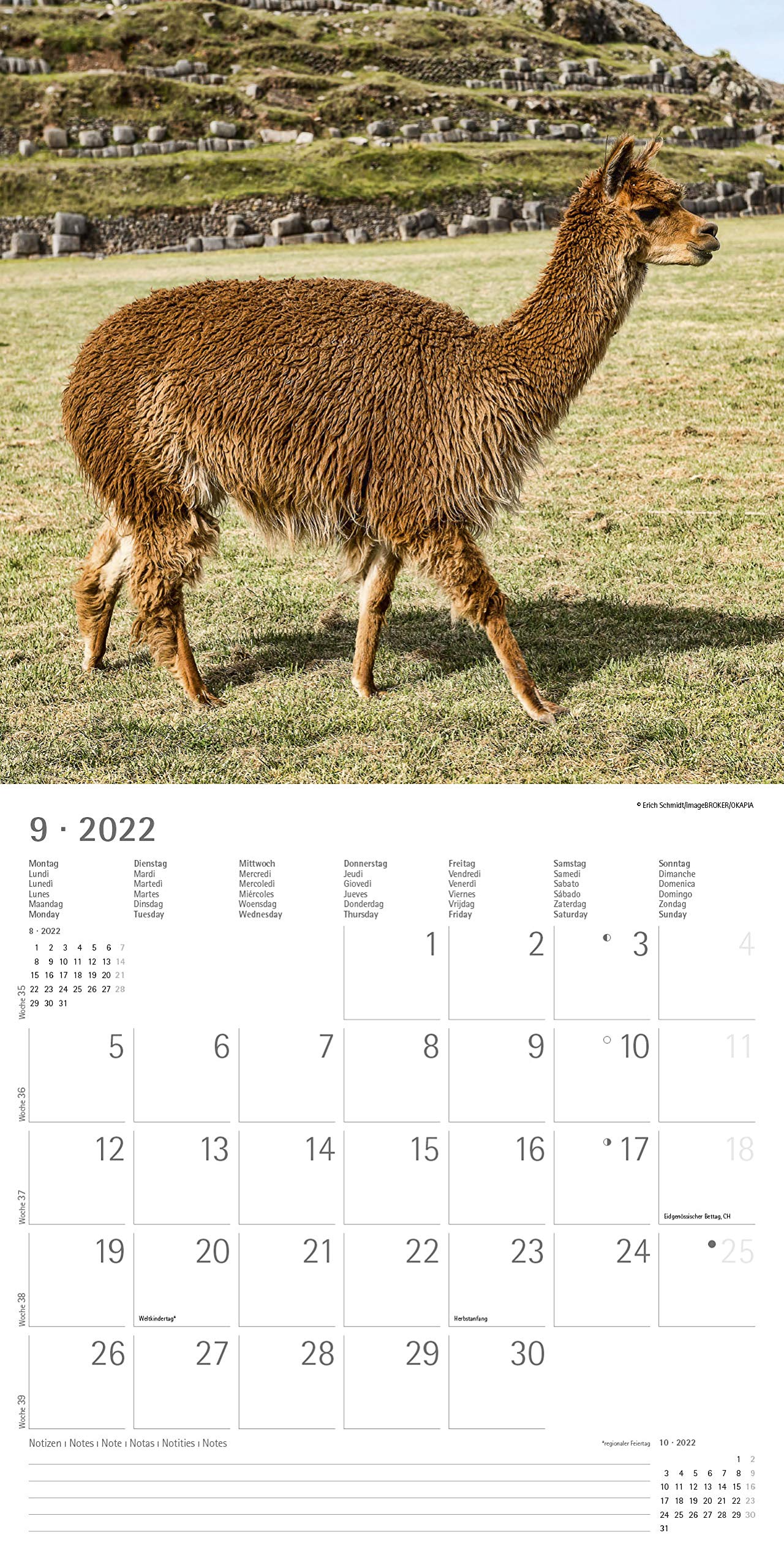 Strofinacci Calendario 2022 2023