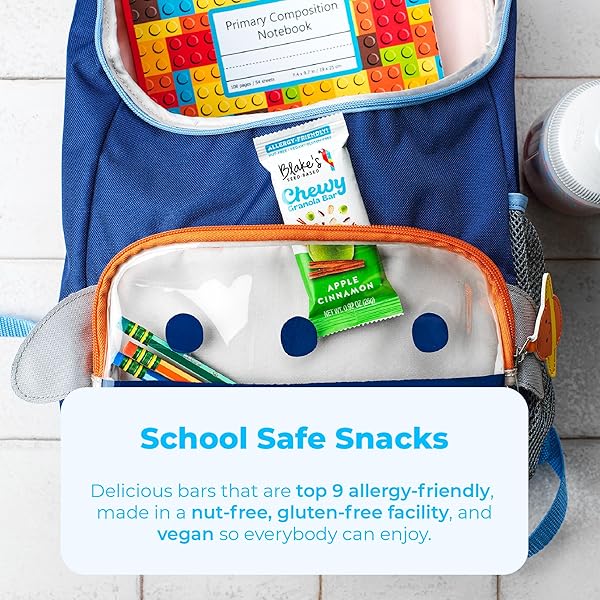 BLAKE’S SEED BASED CHEWY GRANOLA BARS — APPLE CINNAMON (5 COUNT), VEGAN, GLUTEN FREE, NUT FREE & DAIRY FREE, HEALTHY SNACKS FOR KIDS OR ADULTS, SCHOOL SAFE, LOW CALORIE SOY FREE SNACK