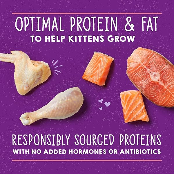 STELLA & CHEWY’S CARNIVORE CRAVINGS PURRFECT PATÉ – PREMIUM GRAIN-FREE WET KITTEN FOOD – CHICKEN & SALMON RECIPE – HIGH PROTEIN WITH BONE BROTH – PERFECT FOR PICKY KITTENS – 2.8OZ CANS (12 PACK)