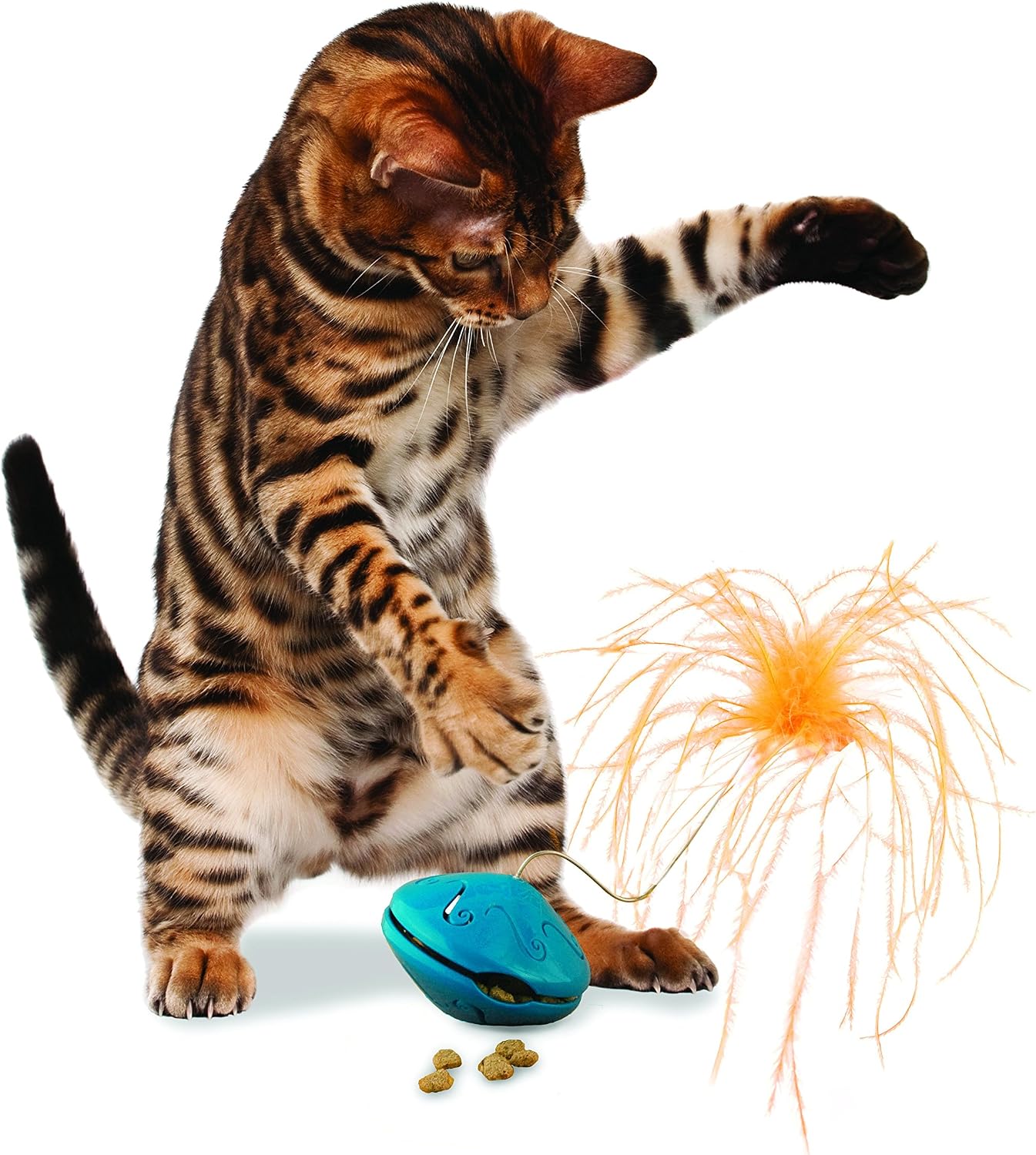 PetSafe Funkitty Twist and Treat Cat Teaser, blue - Image 5