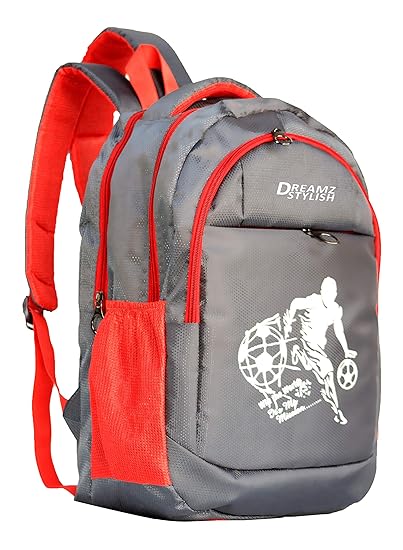 DREAMZ STYLISH 28 Ltrs Grey + Red Casual Backpack I Laptop Bags