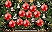 Christmas Wonderland 5 - Hidden Object Adventure Game