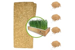 ZESTIGREENS Cat Grass Refills for Self Watering Cat Grass Kit - 4 Mats and 4 Cat Grass Seed Packets (Refill Kit)