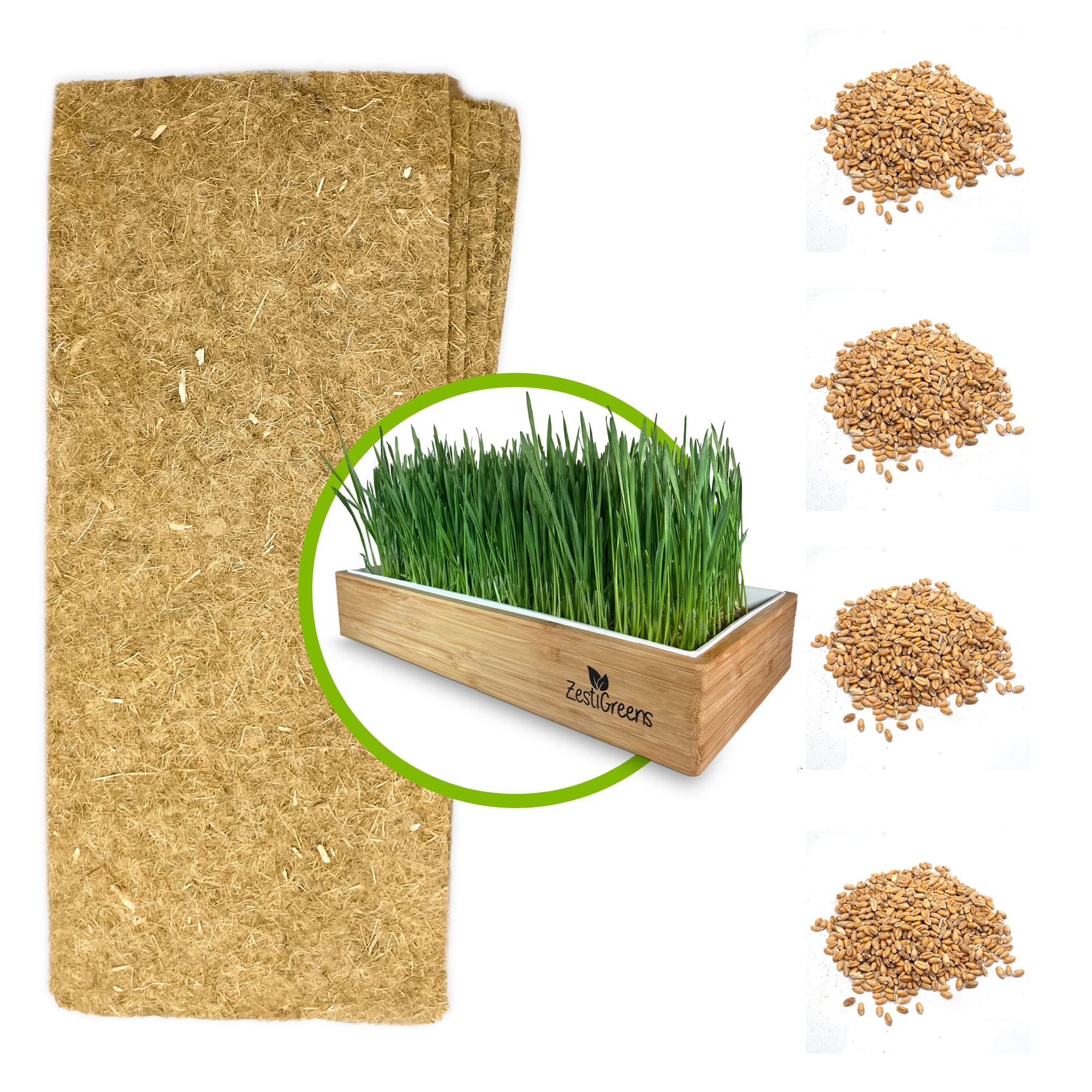 Cat Grass Refills for Self Watering Cat Grass Kit