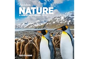 Audubon Nature Wall Calendar 2025: A Year of Breathtaking Vistas