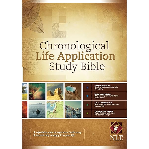 洋書 CHRONOLOGICAL BIBLE ESV Chronological Bible (Hardcover) – Westminster Bookstore