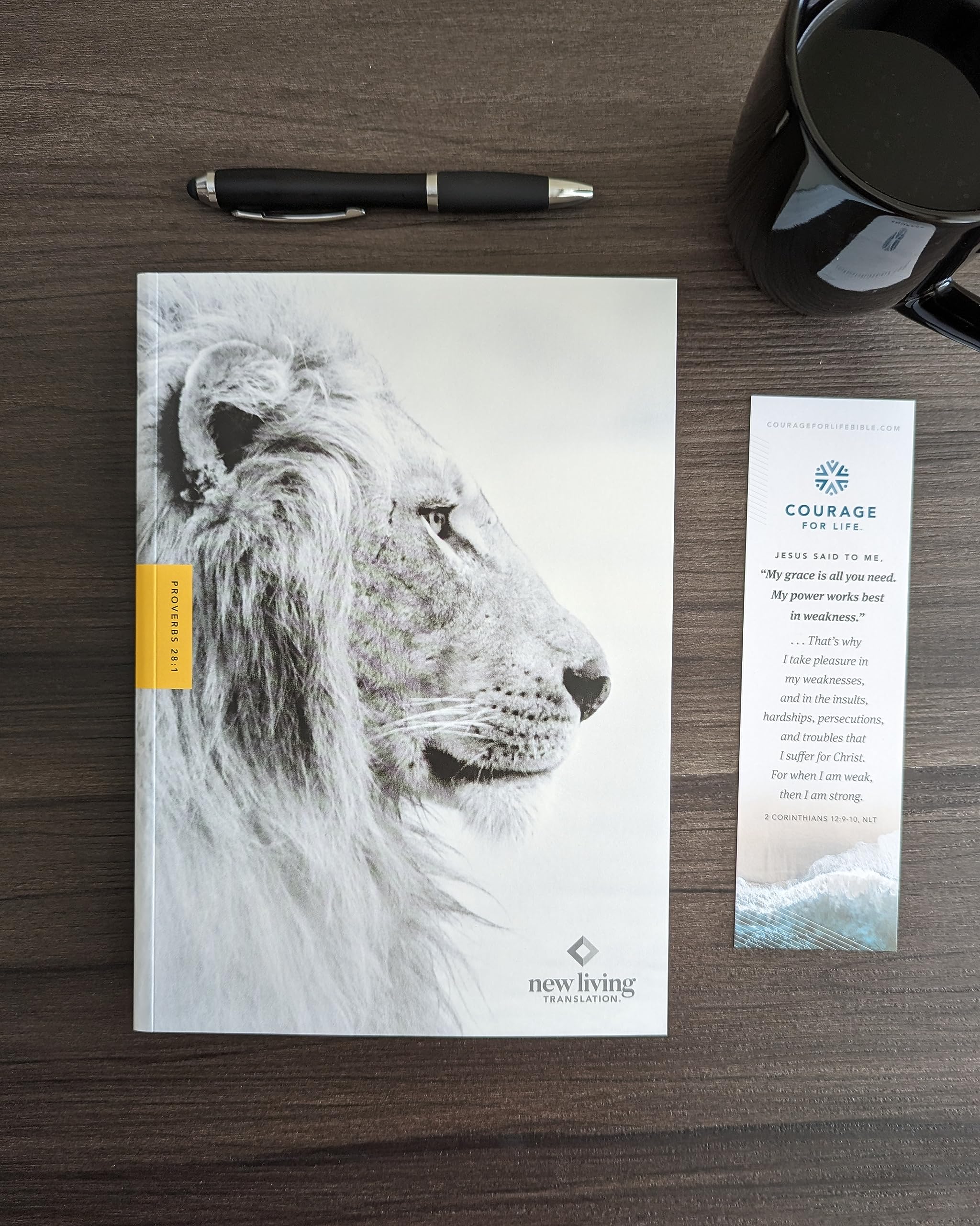 NLT Courage For Life Study Bible for Men, Filament Enabled (Hardcover) NLT Courage For Life Study Bible for Men, Filament Enabled (Hardcover) Hardcover
