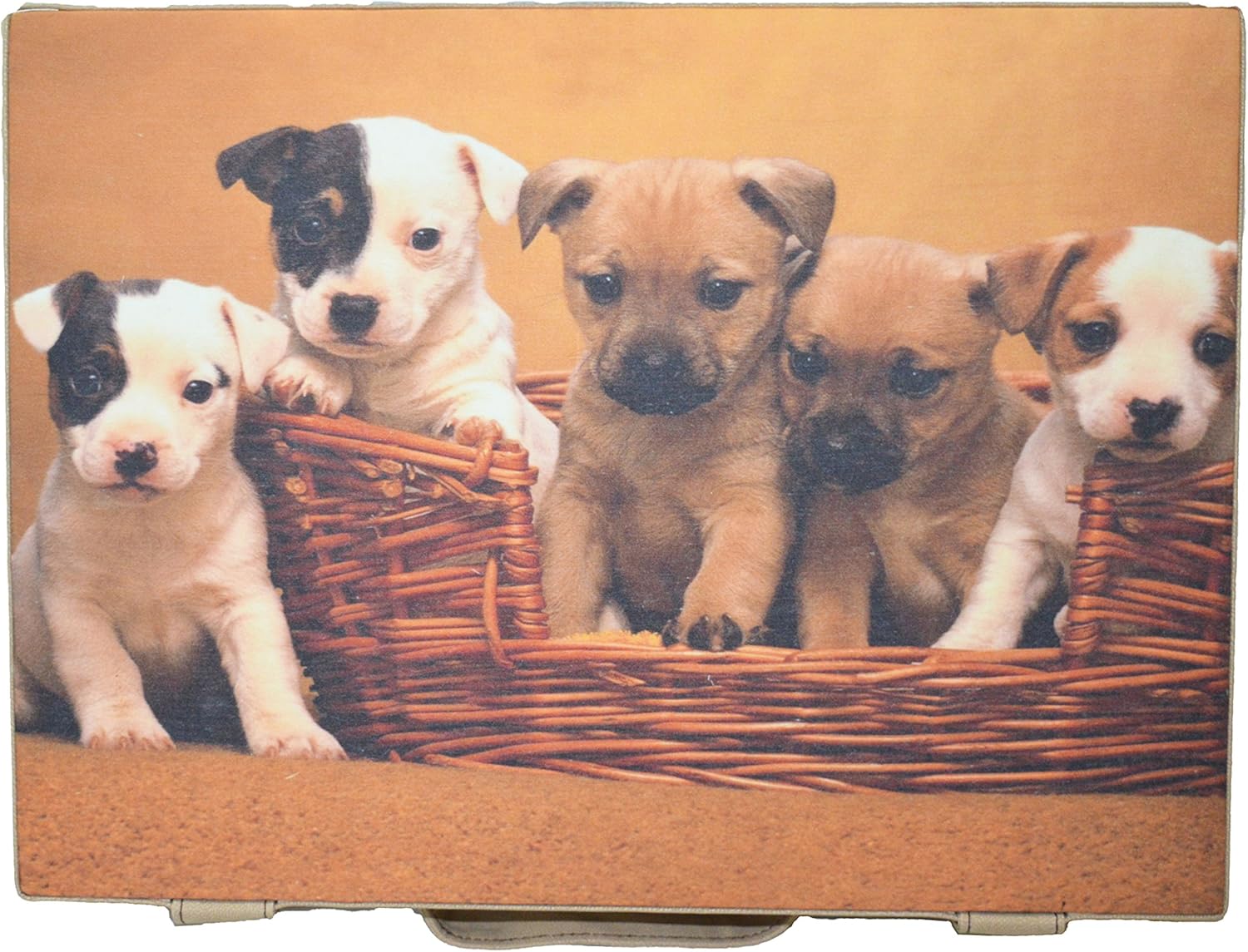 box for puppies