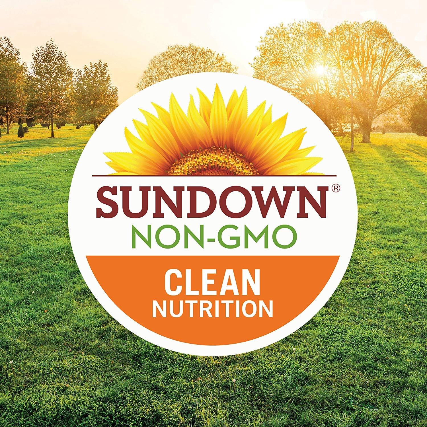 Sundown Naturals Cinnamon 1000 Mg Capsules Value Size, 200 Count pack of 2: Health & Personal Care