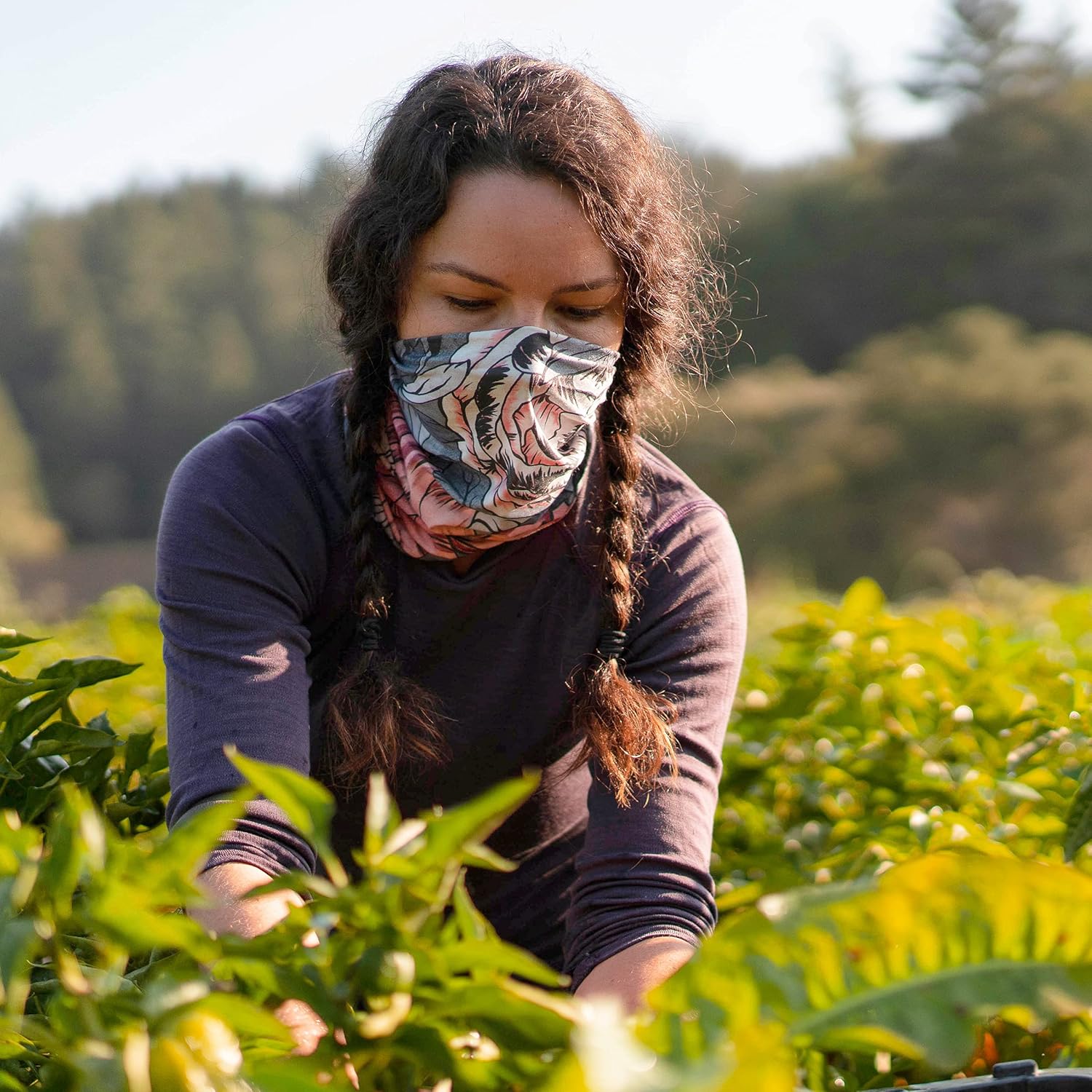 BUFF Standard CoolNet UV+ Insect Shield Multifunctional Headwear and Face Mask, Dhal Multi, One Size: Clothing
