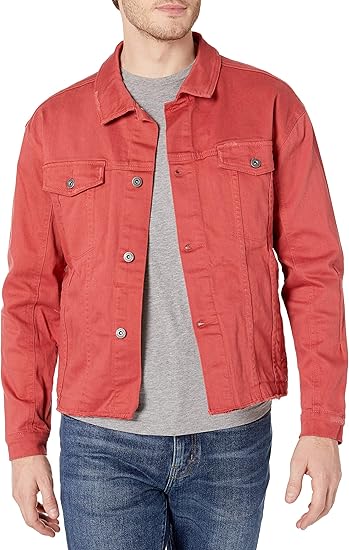 zanerobe denim jacket